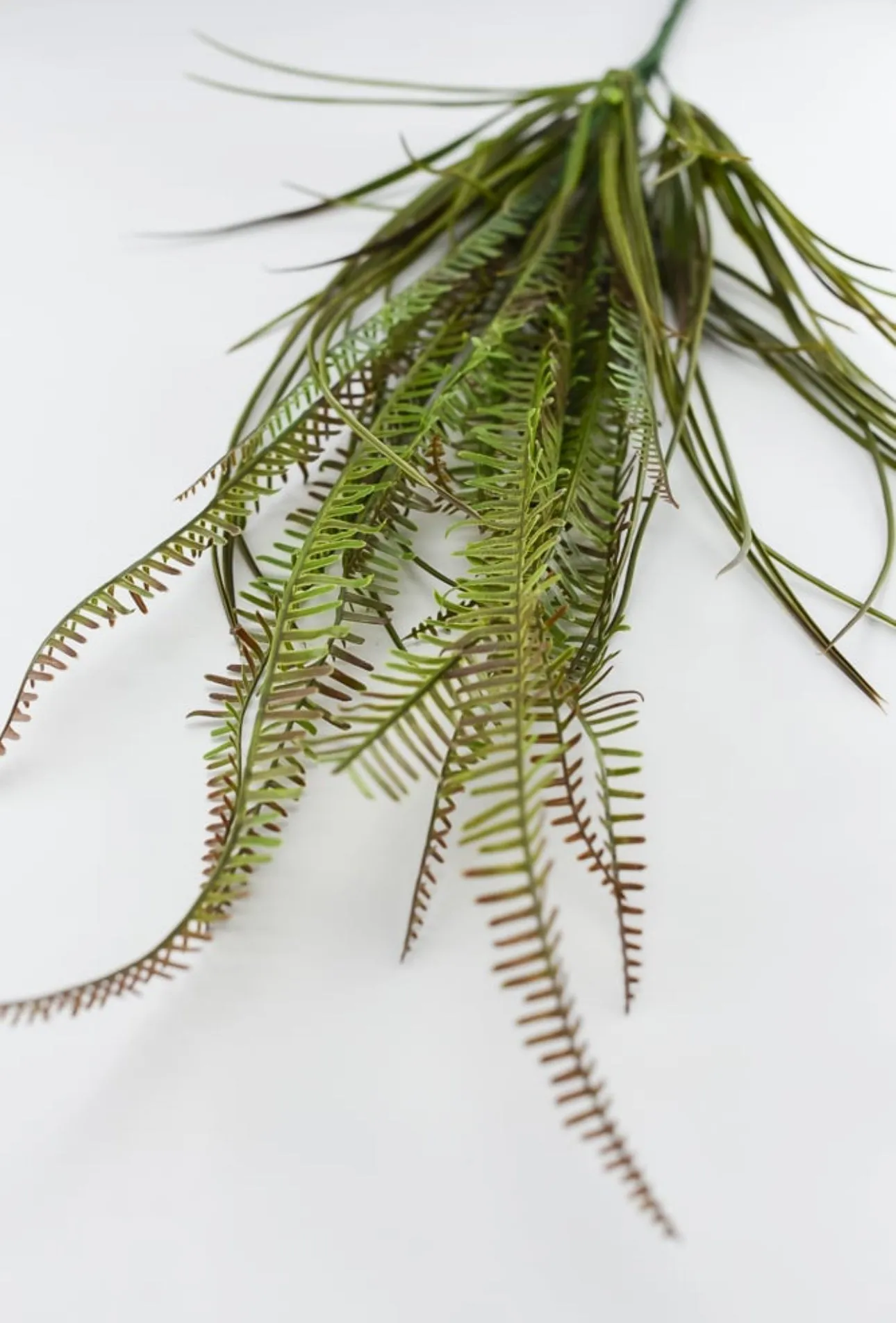 Artificial Grass and fern bush