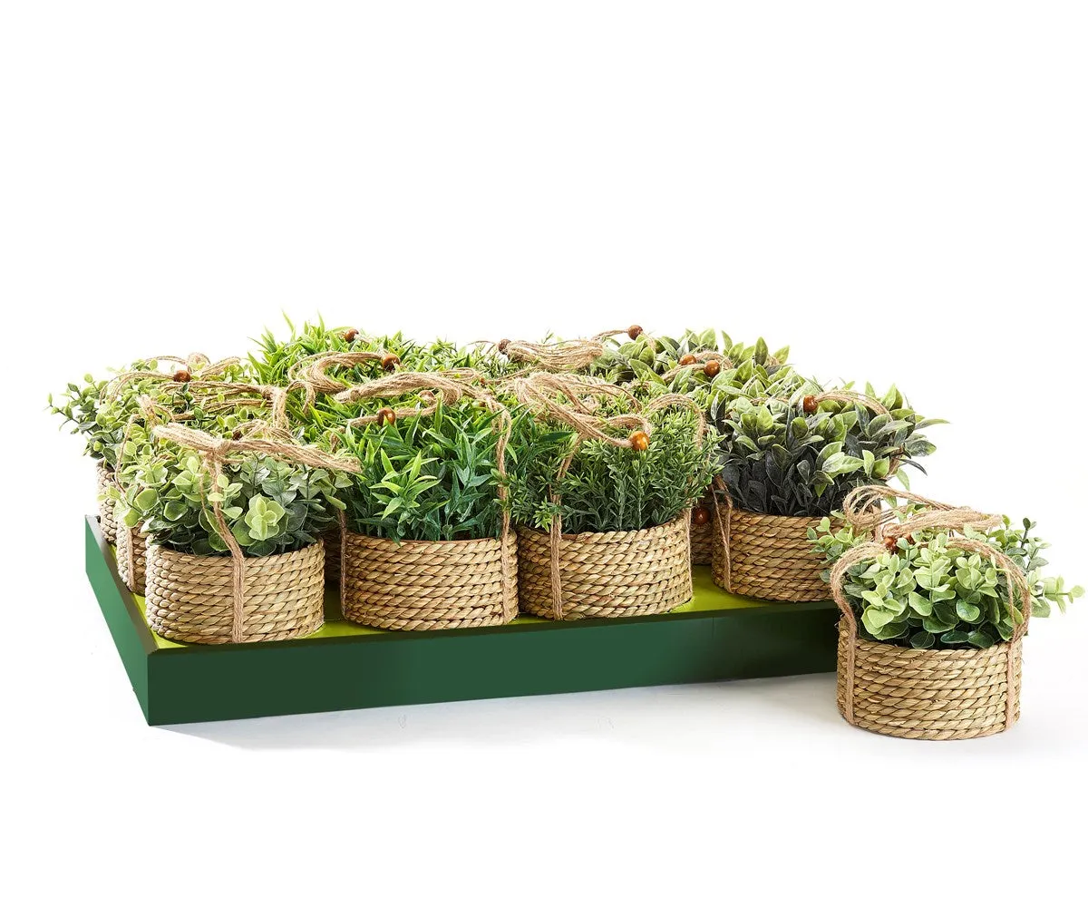 GARDEN & OUTDOORS  Hanging Life-Like Plant, 4 Asst. w/Displayer