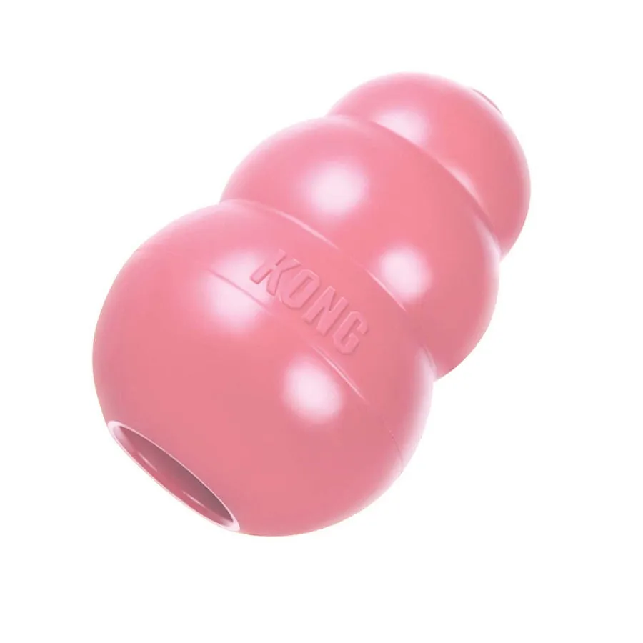 KONG Puppy