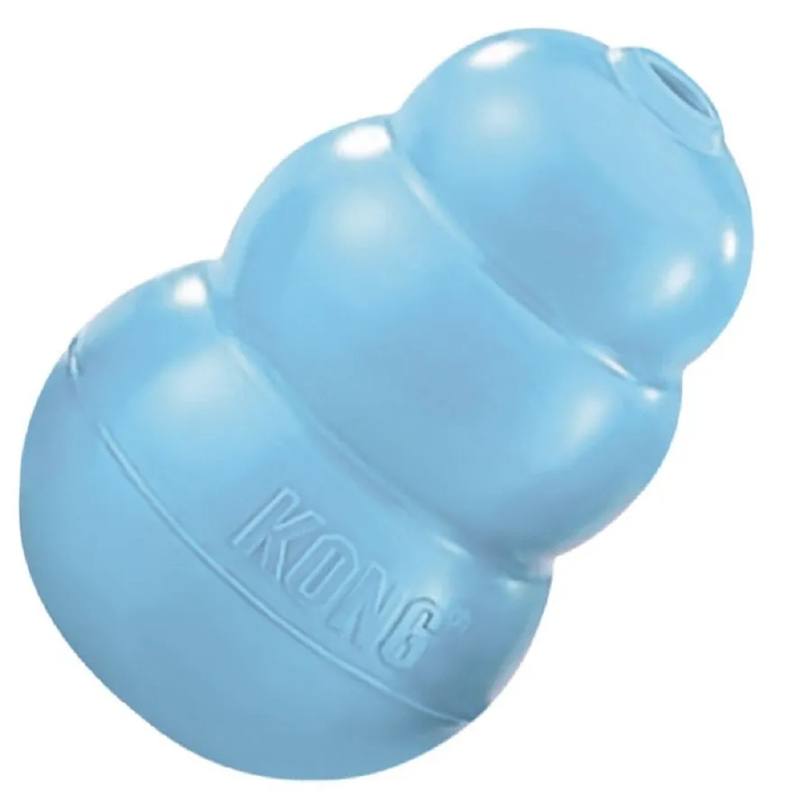 KONG Puppy