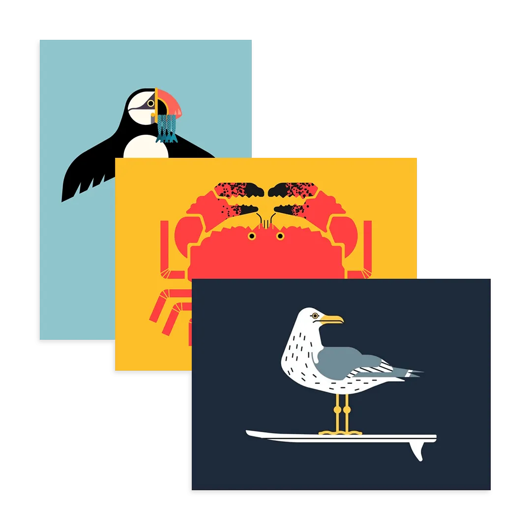 Seagull Art Print